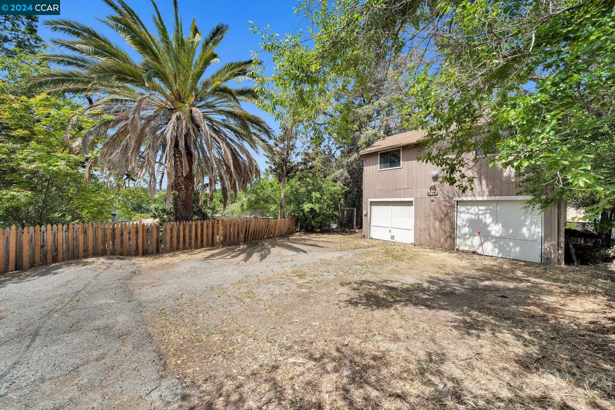 a view of backyard with palm trees