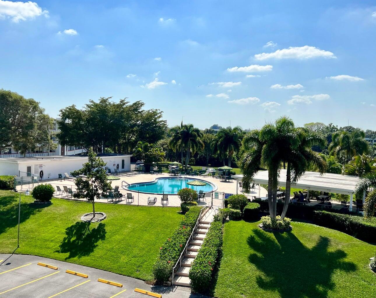 a view of a swimming pool with a garden and plants