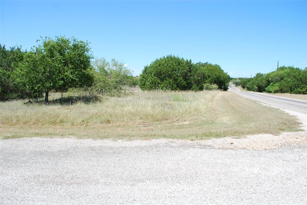 a view of a yard with a tree