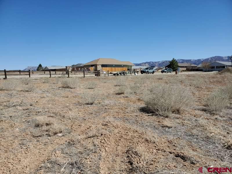 a view of a dry yard with trees