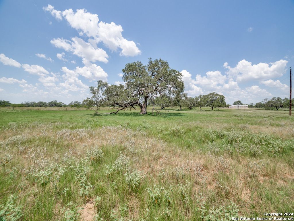 a view of a green field