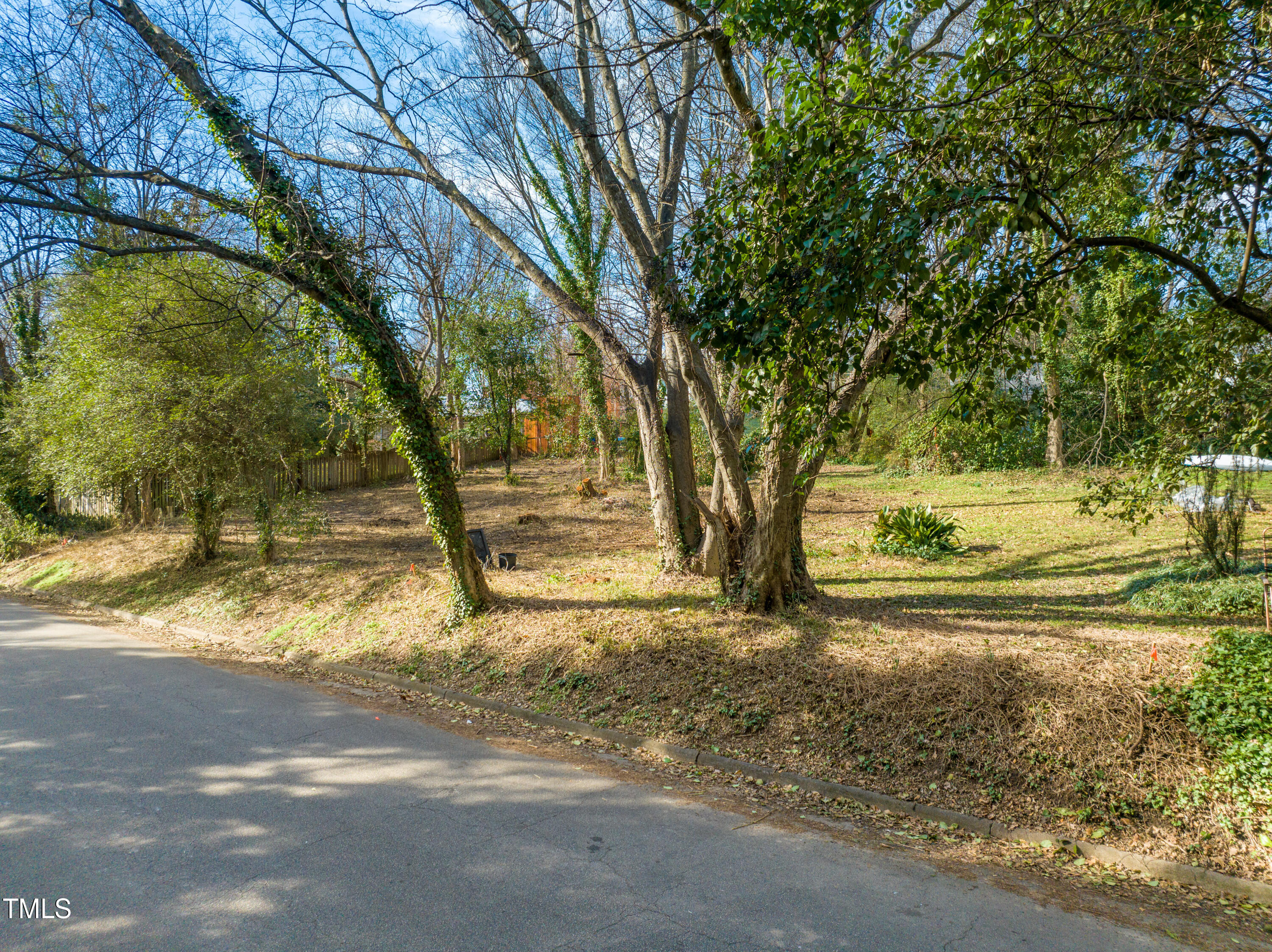 a view of a yard with a tree