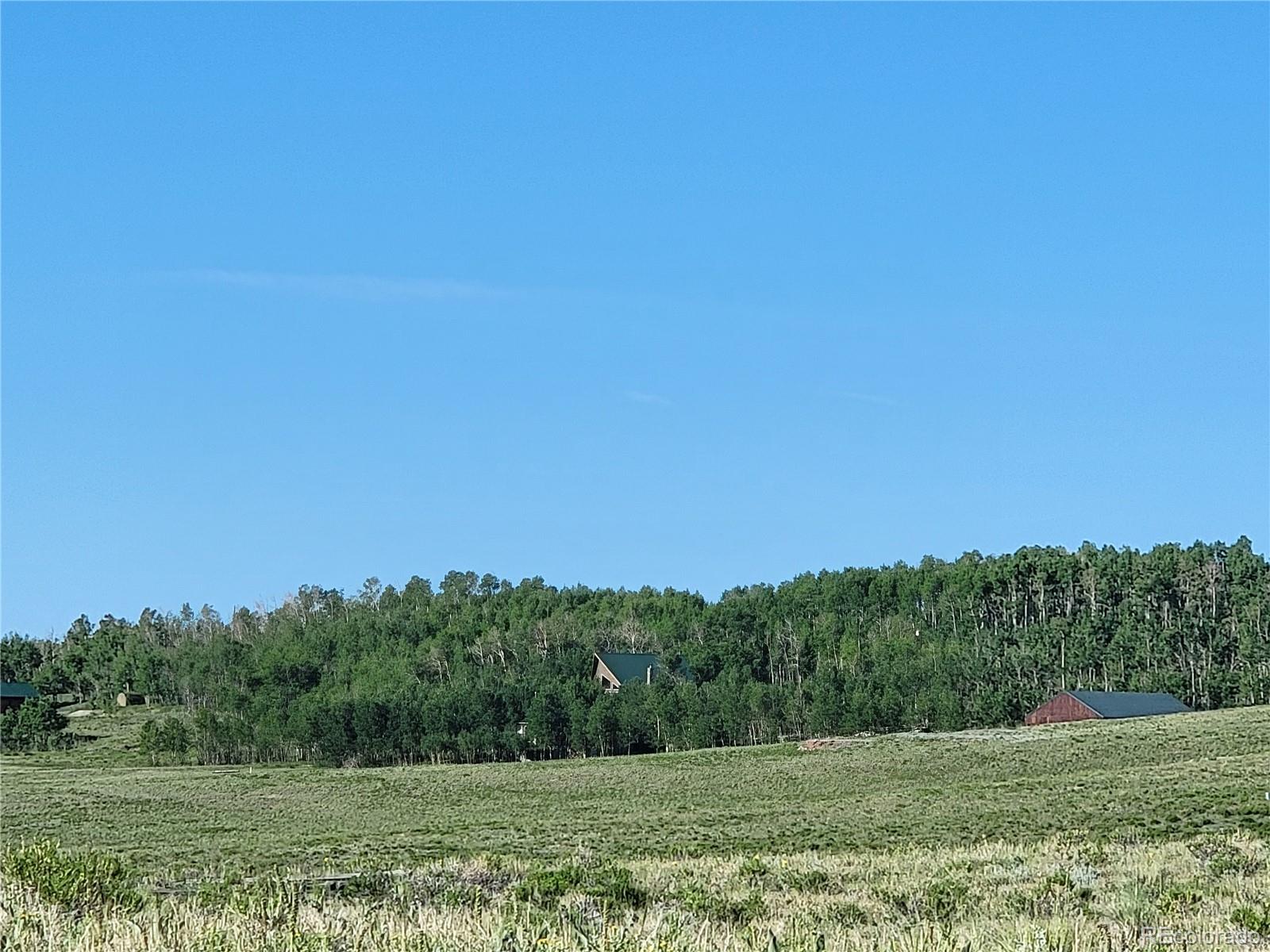 a view of a field with trees in background