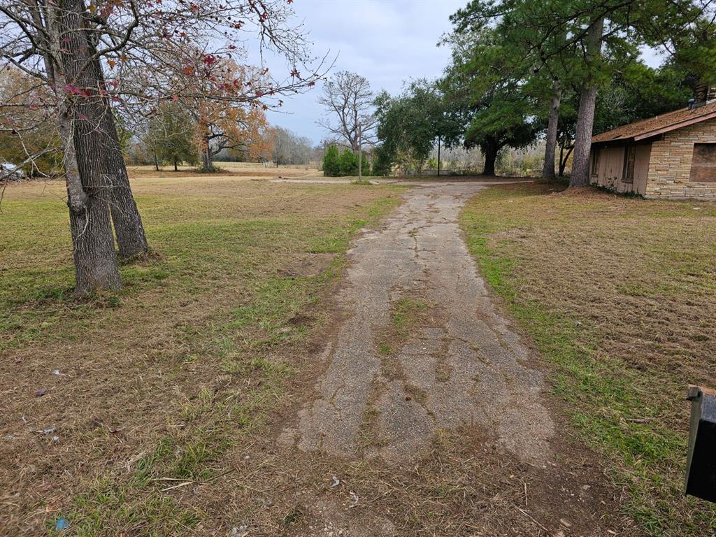 a view of a yard with an trees