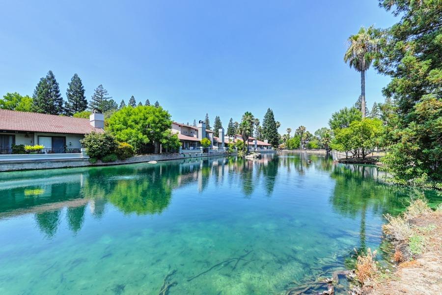 a lake view with a garden