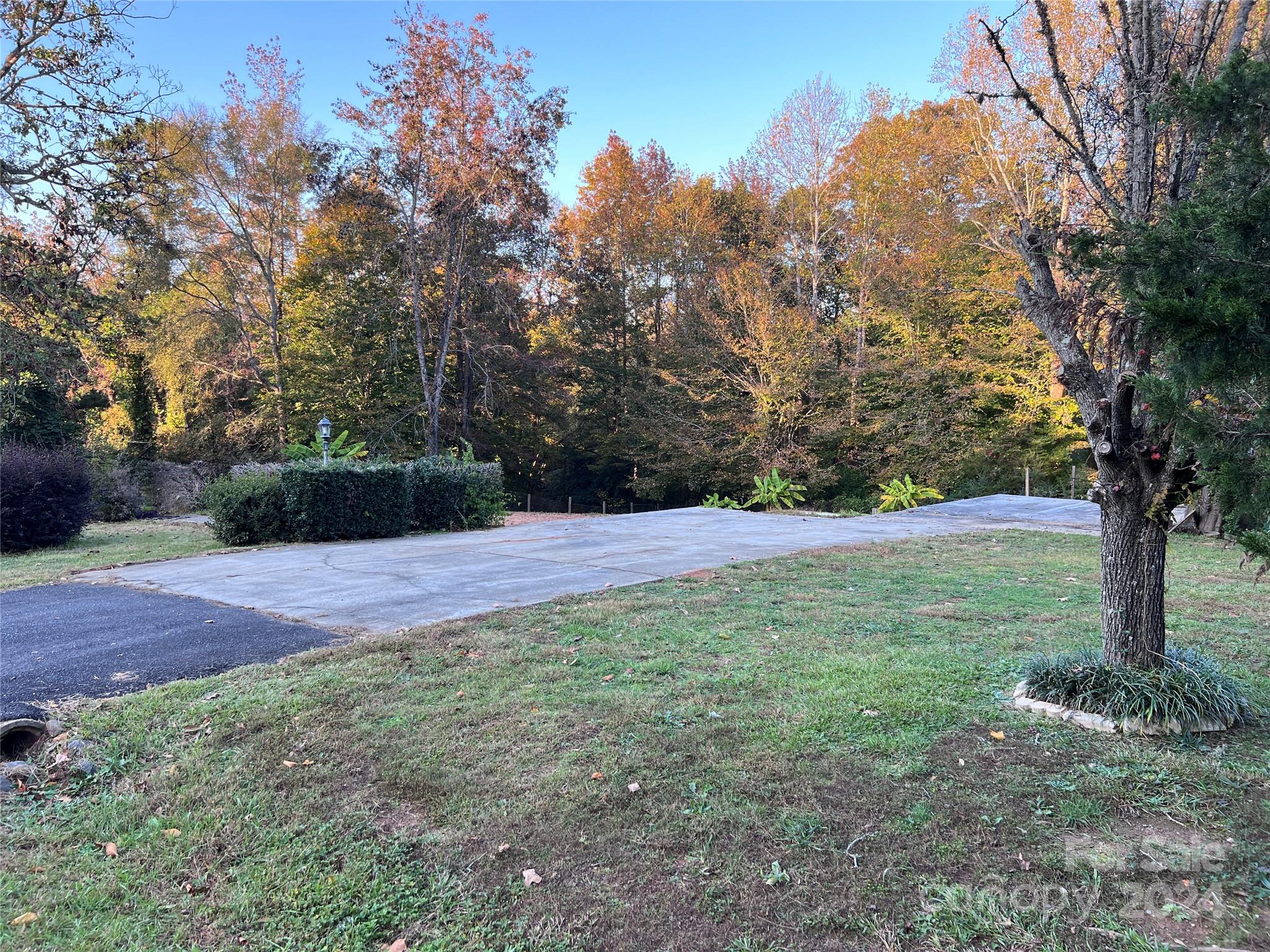 a view of backyard with large trees