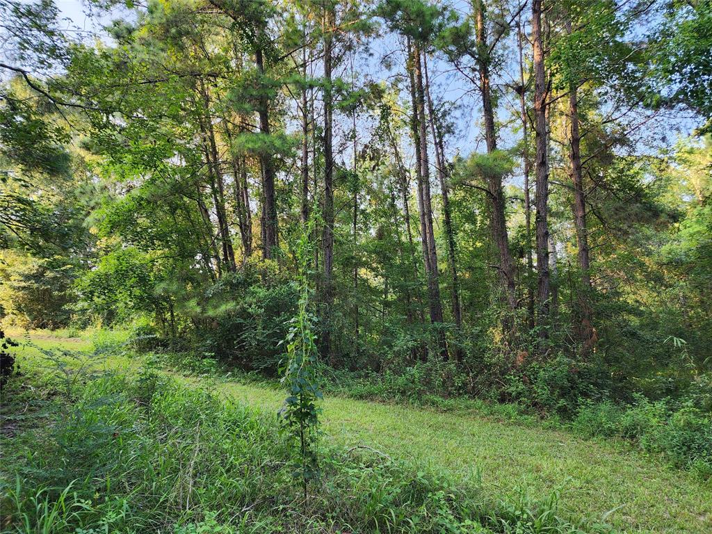 Partially cleared lot waiting for your new home to be built!