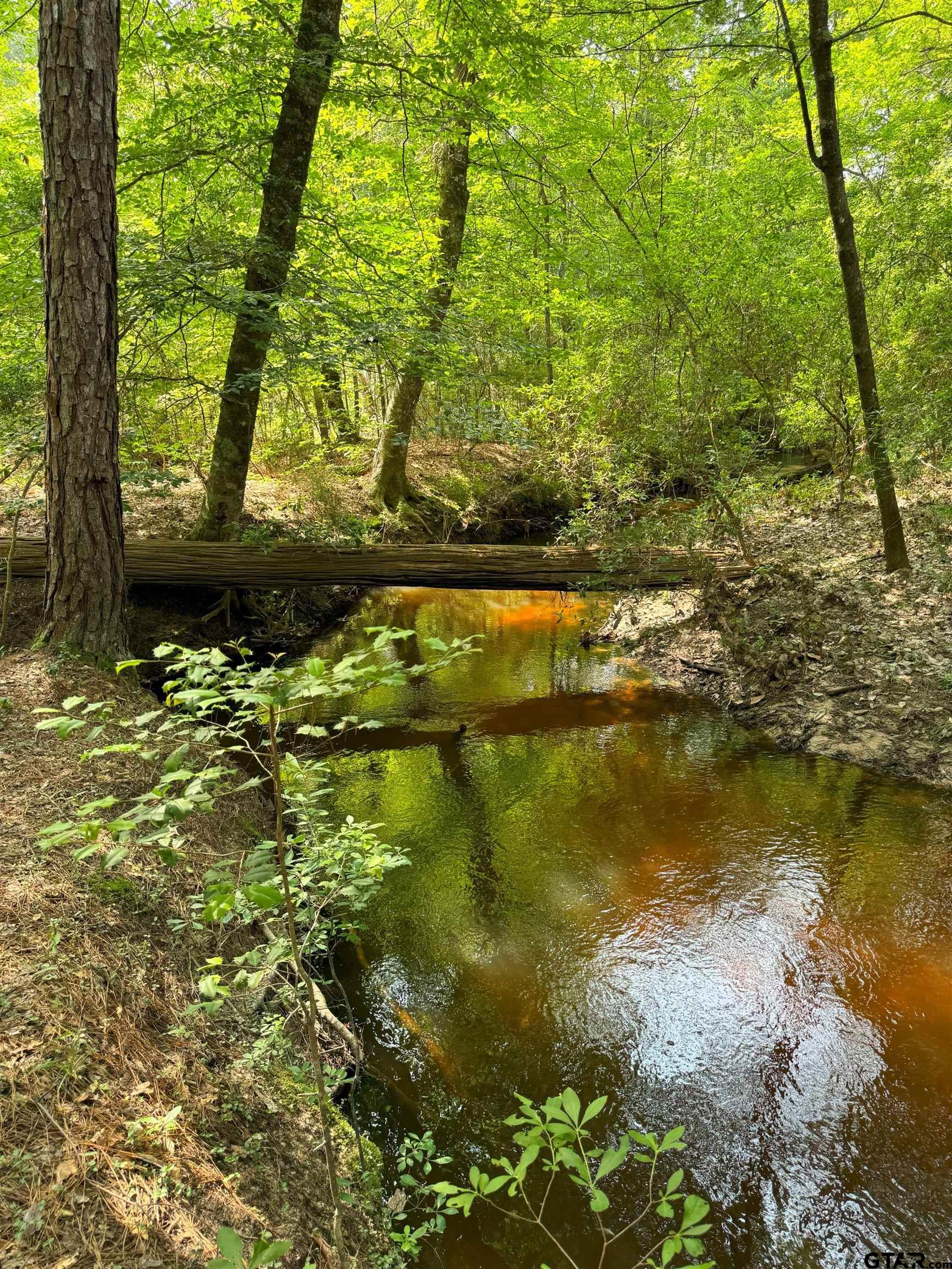 a view of lake