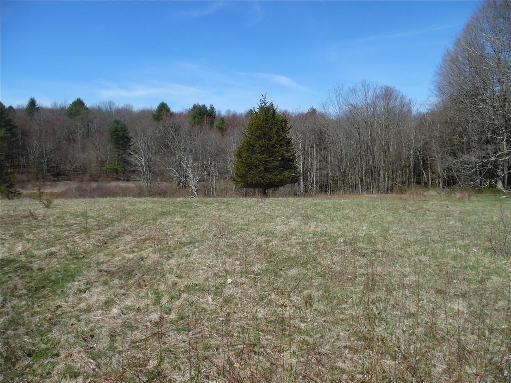 a view of outdoor space and yard