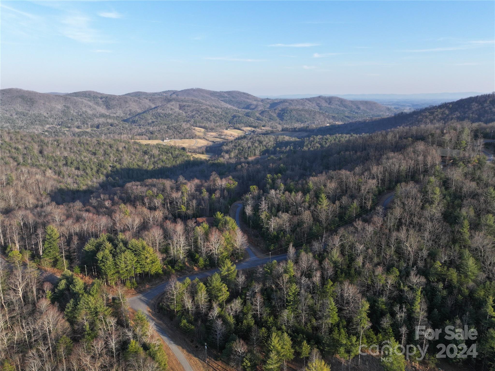 an aerial view of mountain and tree