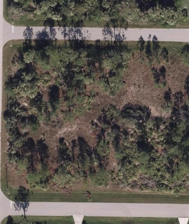 a view of a yard with large trees