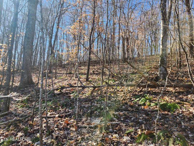 $24,900 | Lot 106 Laurel Way