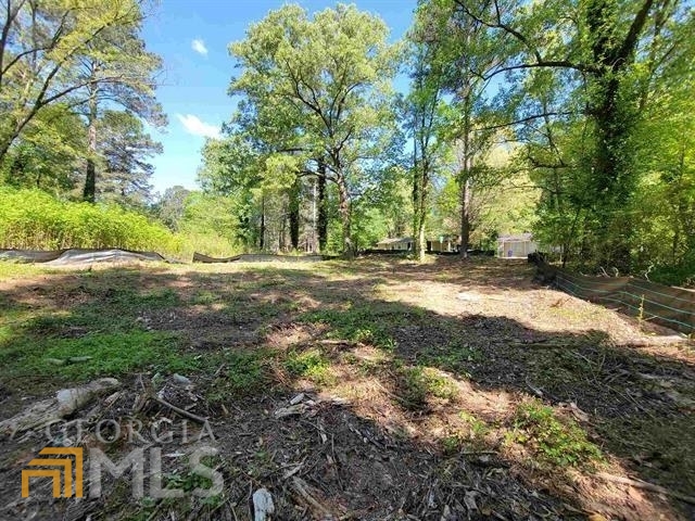 a view of a yard with plants and large trees