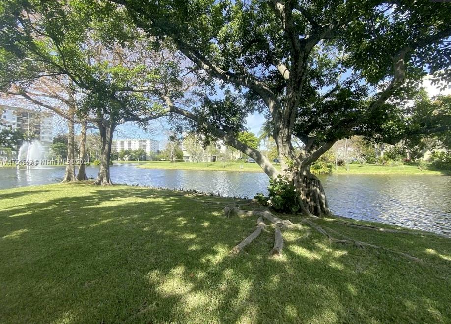 a view of a garden with trees