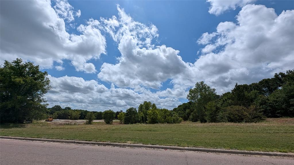 a view of a big yard