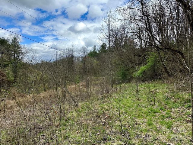 $290,000 | 0 Fletcher Martin Road, Unit 2 & 3 | French Broad Township - Buncombe County