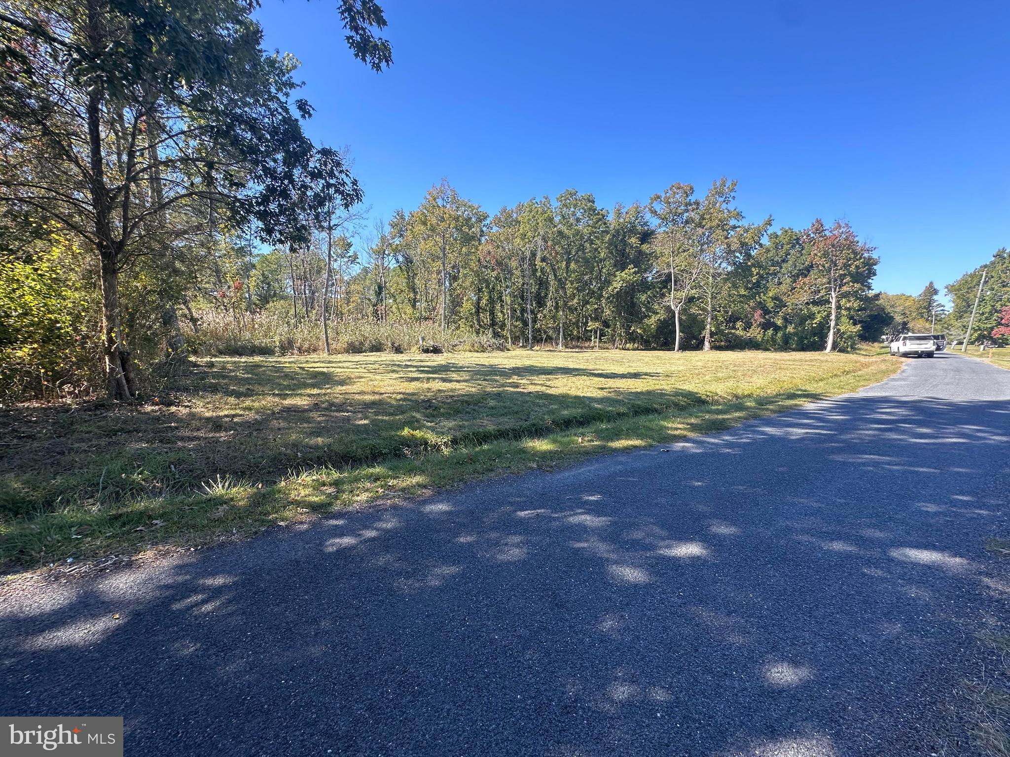 a view of a yard with a tree