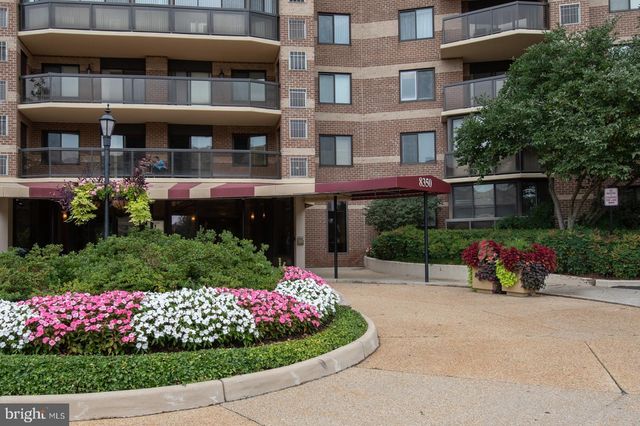 $3,000 | 8350 Greensboro Drive, Unit 107 | The Rotonda