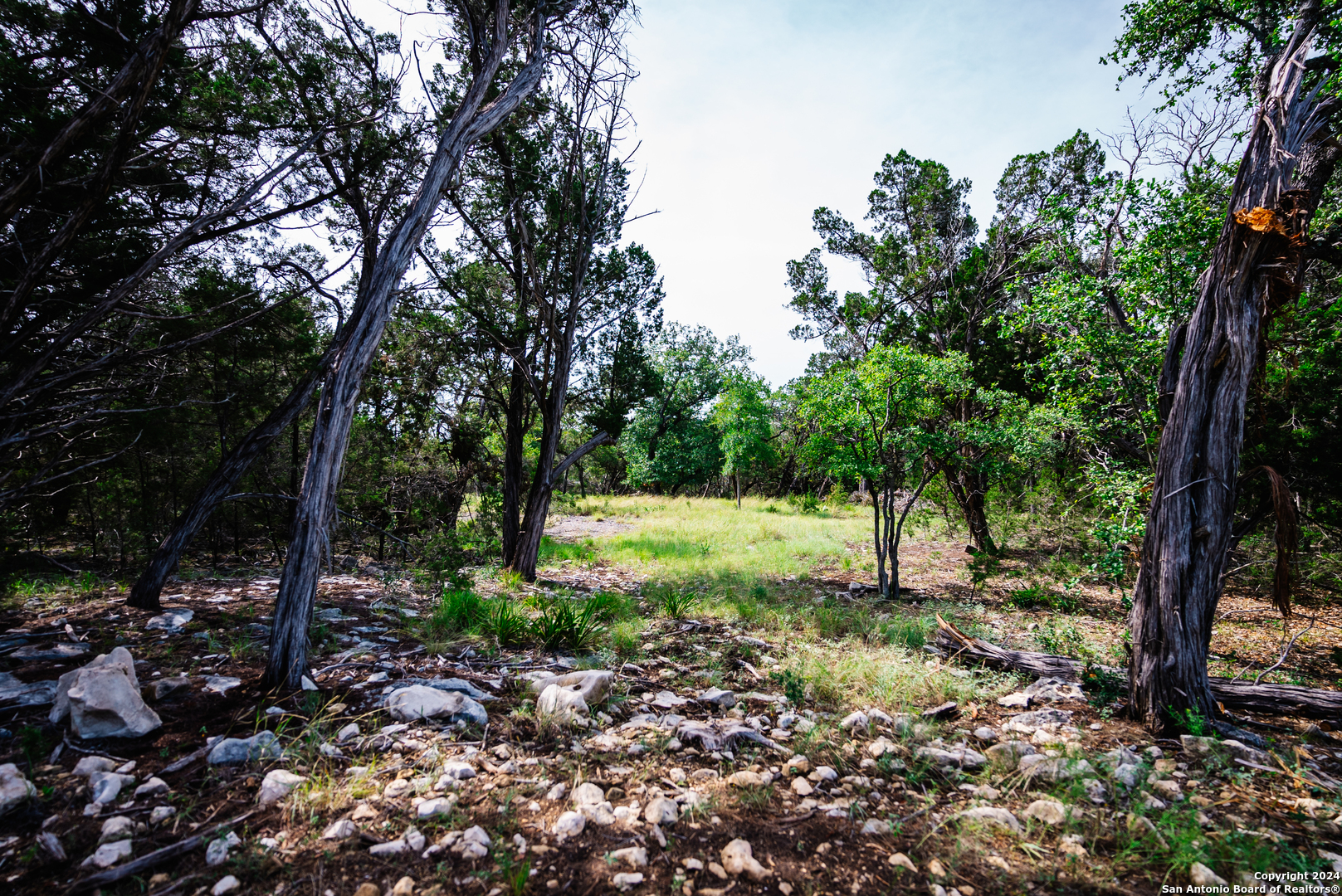 a view of backyard with green space