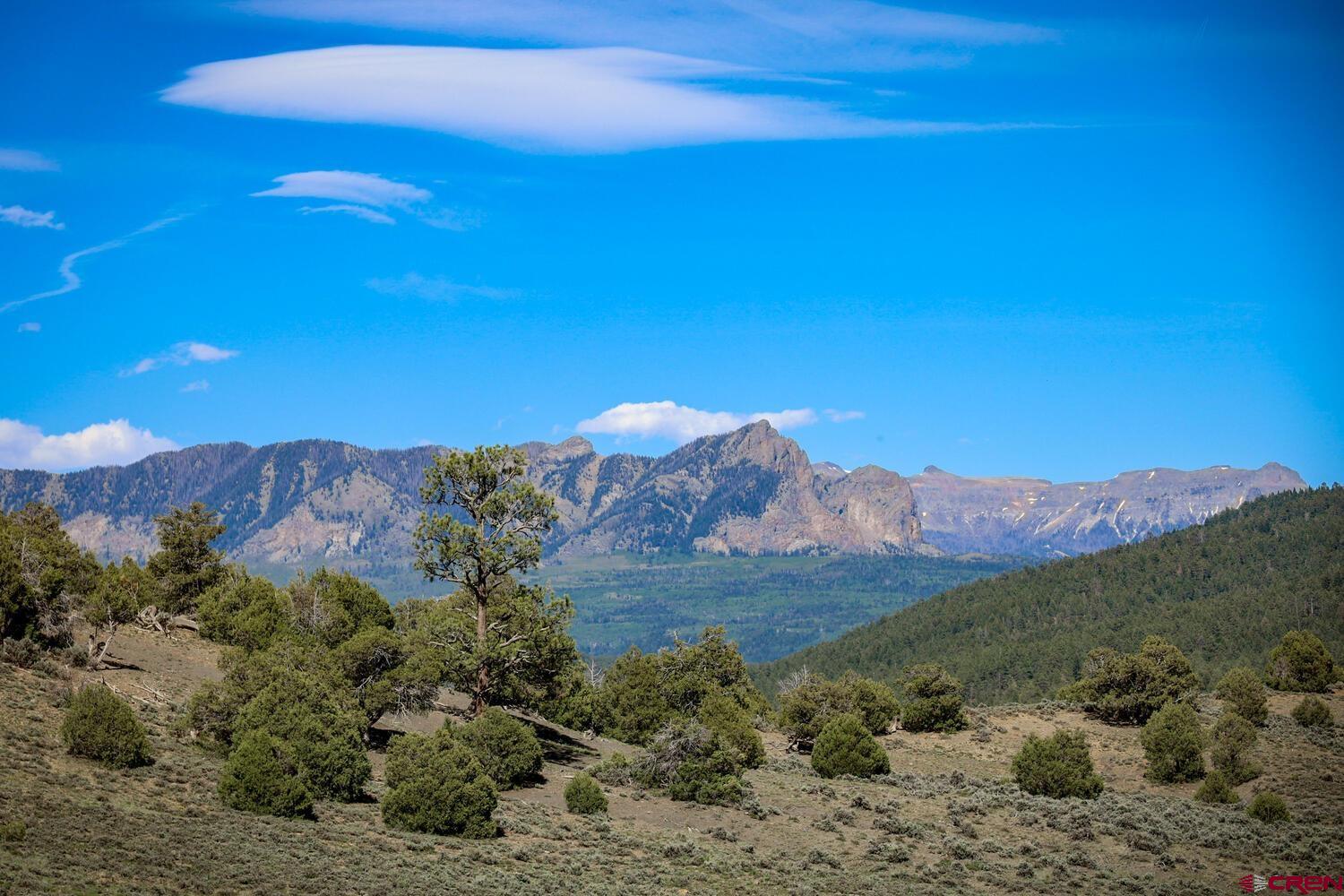 a view of a yard with a mountain