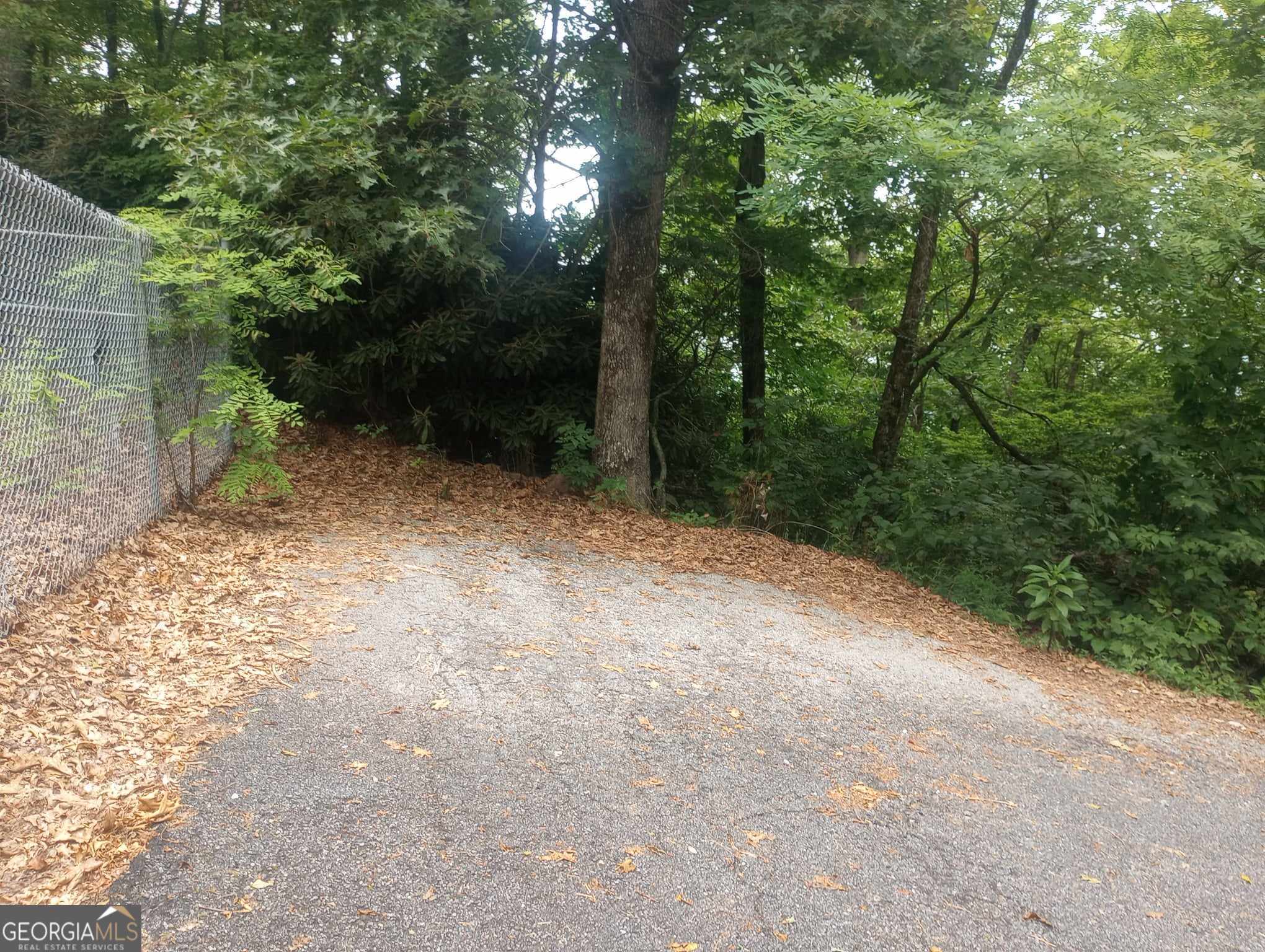 a view of outdoor space and yard