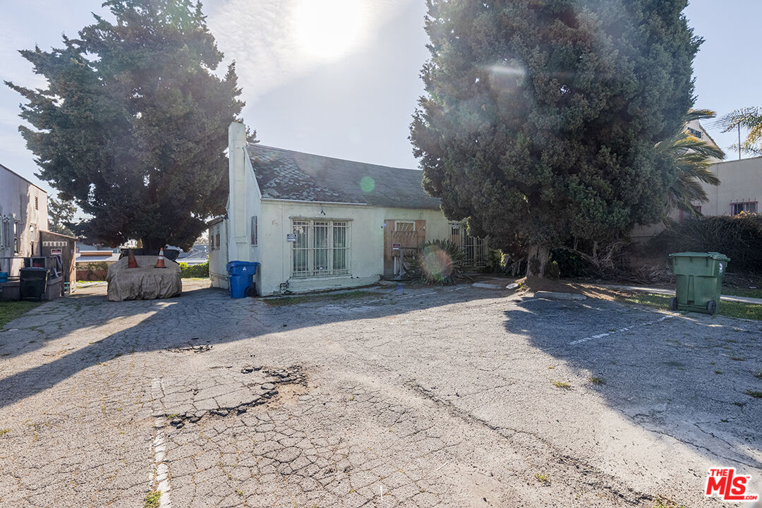 a backyard of a house with a large tree