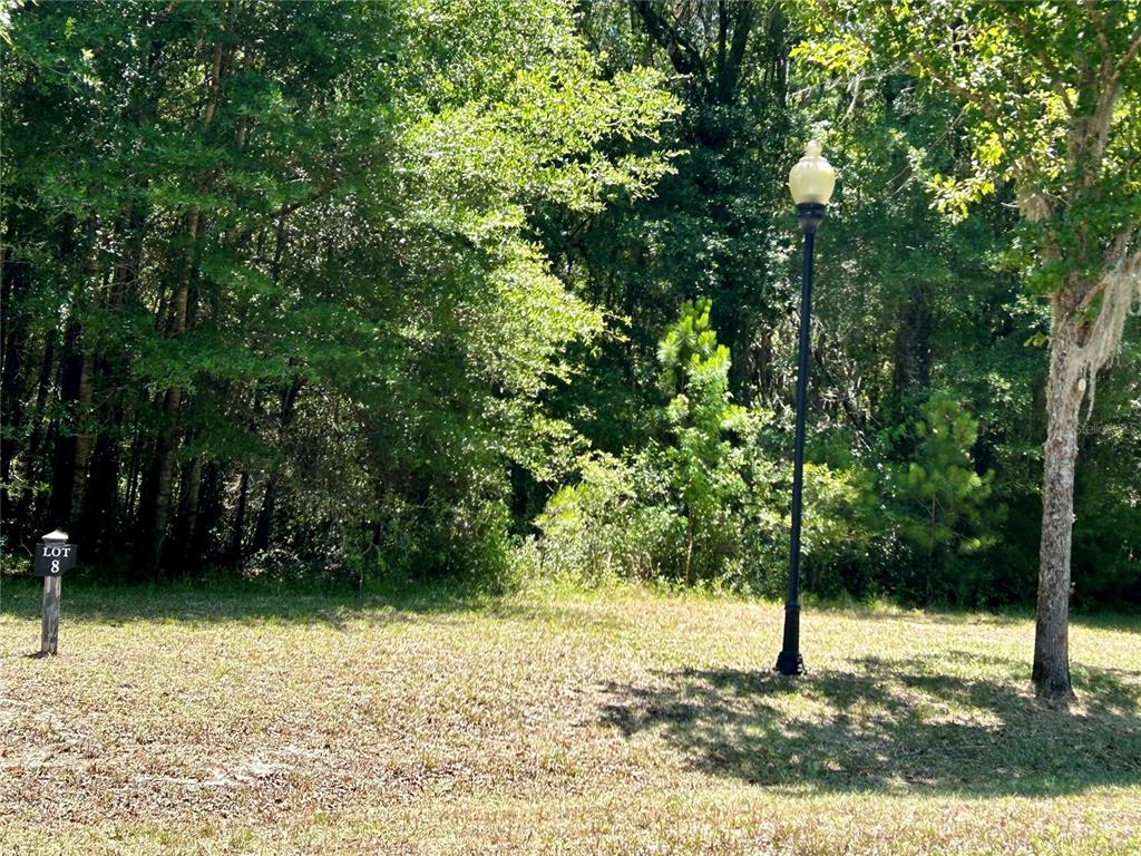 a view of a backyard of a house