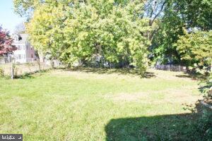 a view of yard with large trees