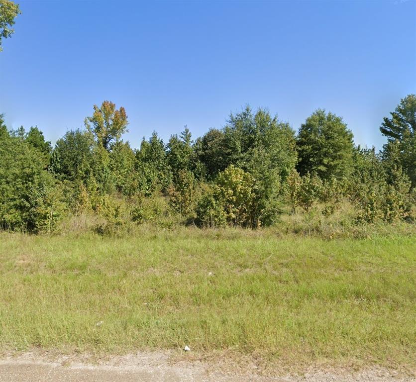 a view of a field with an trees