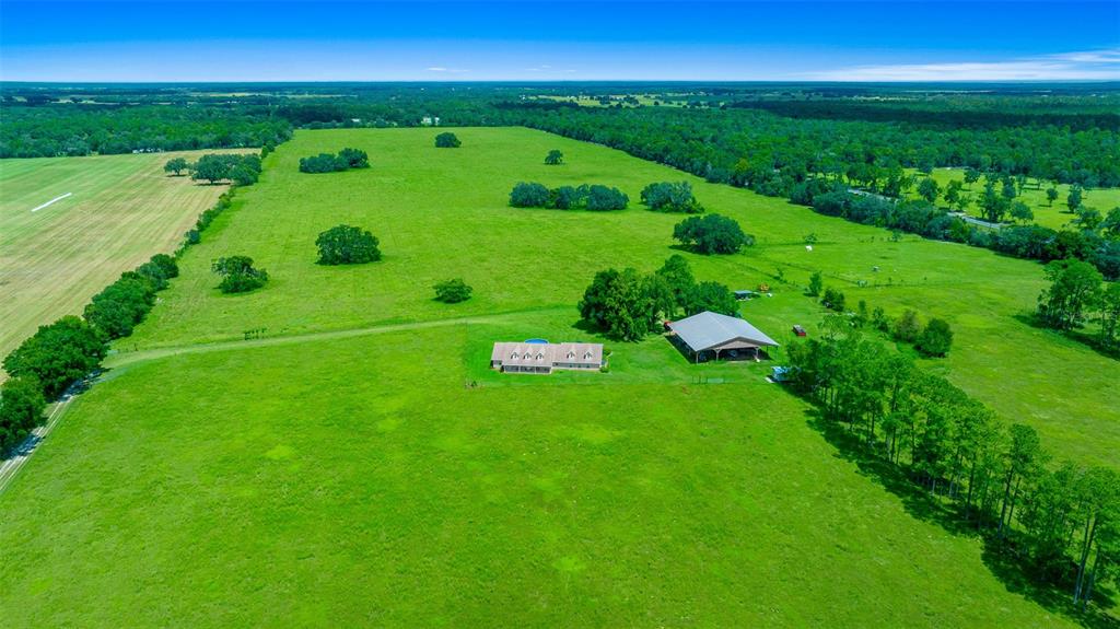 a green field with lots of green space