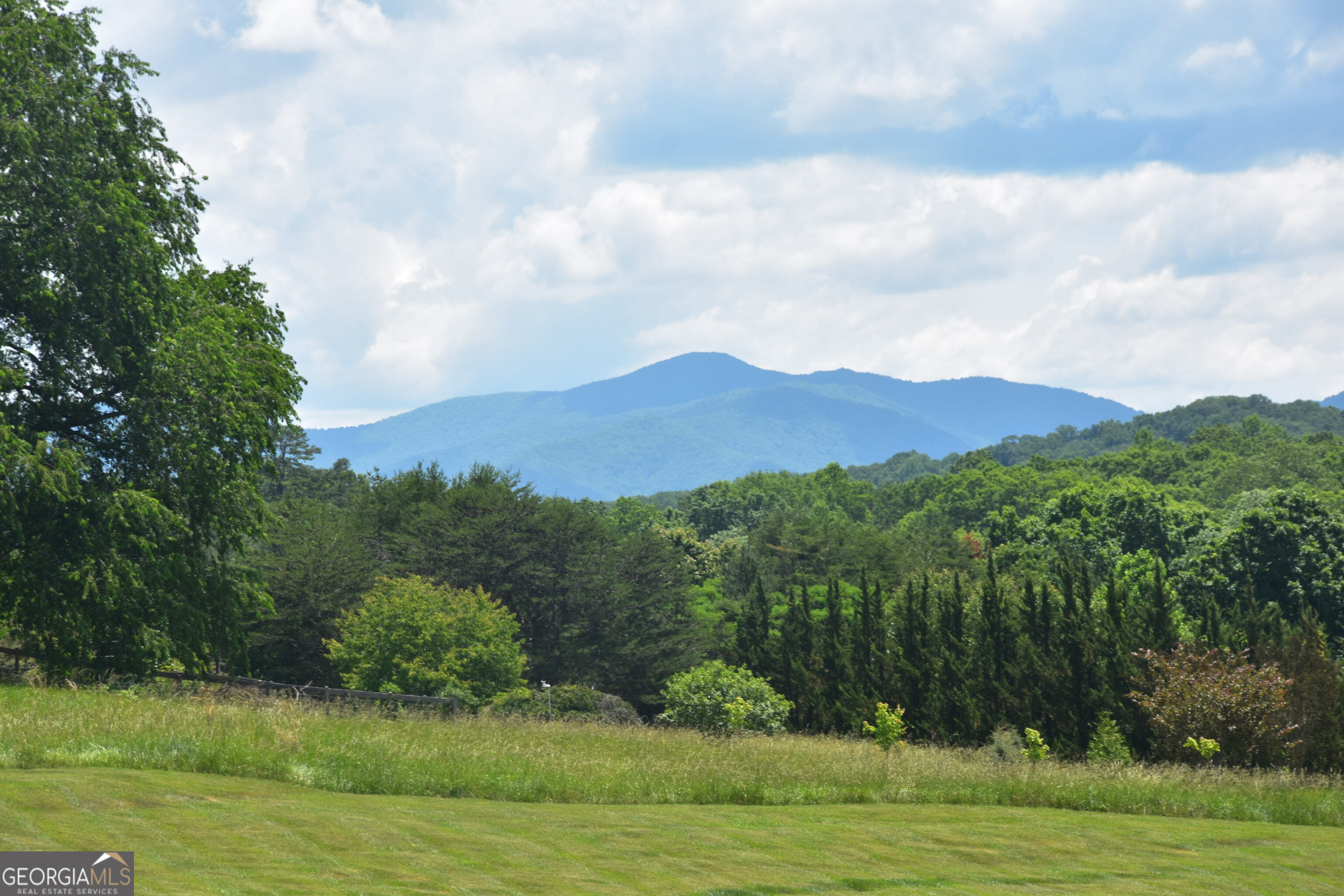 a view of a lush green mountain