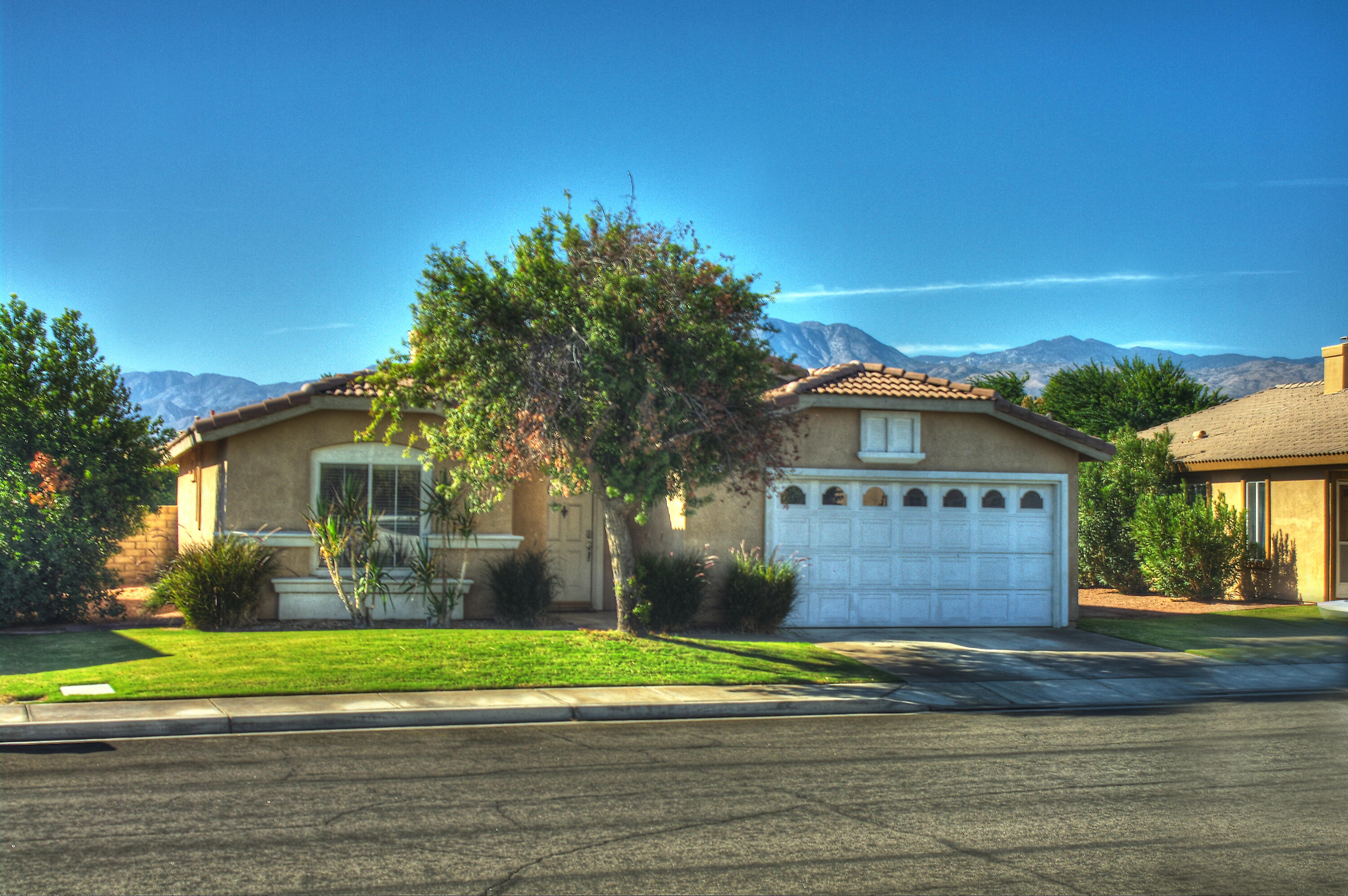 a front view of house with yard and green space