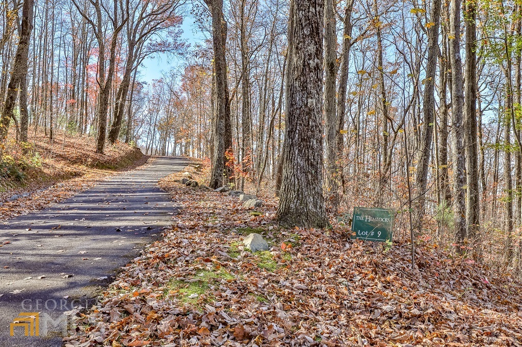 Lot 9 The Hemlocks, Ellijay, GA 30536 Compass