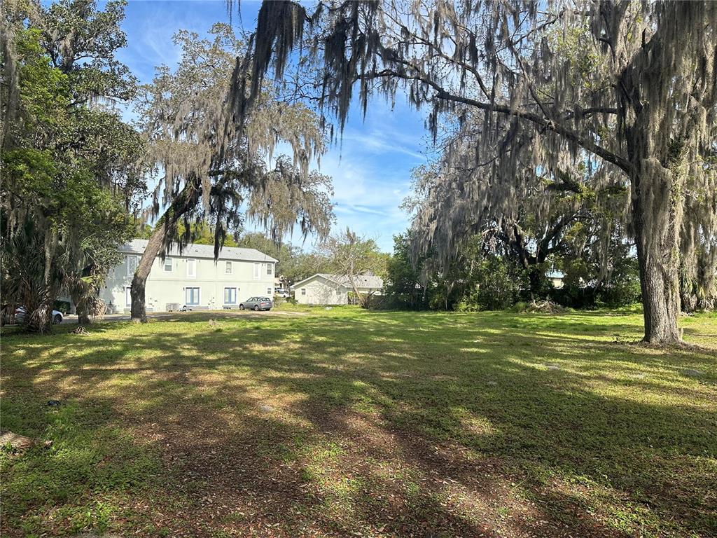 a view of a trees in a yard