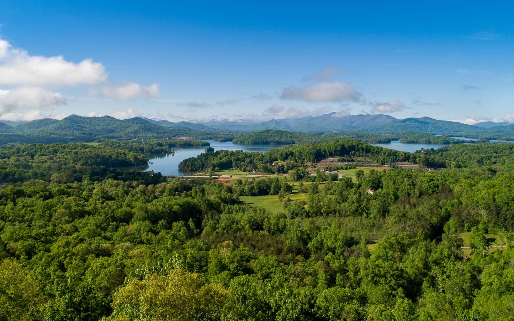 a view of a city with lush green forest