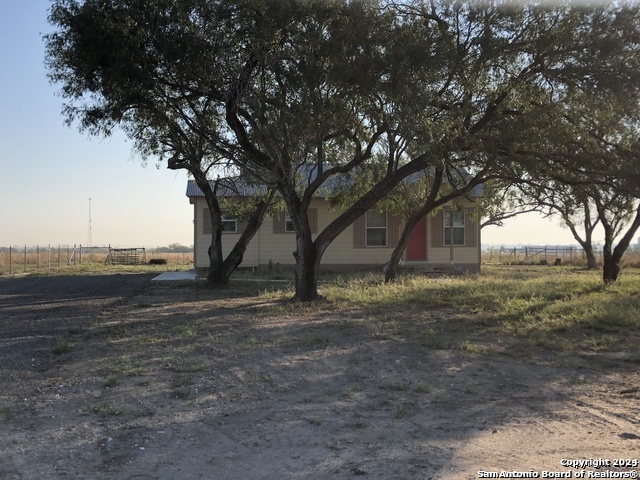 a view of a yard with a tree