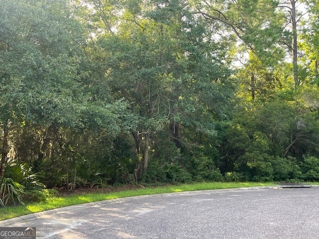 a view of a yard with a trees