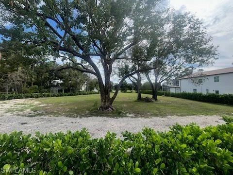 a view of a yard with a tree