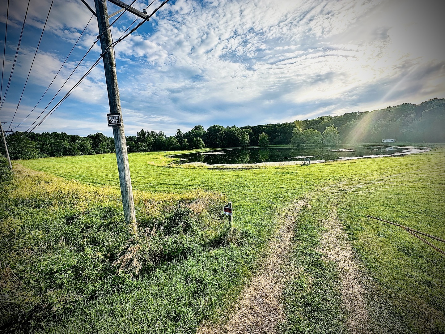 a view of a field with a big yard