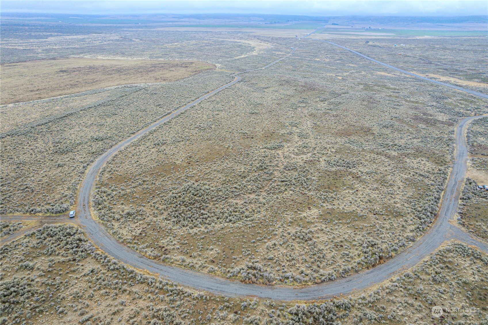 a view of a dry yard