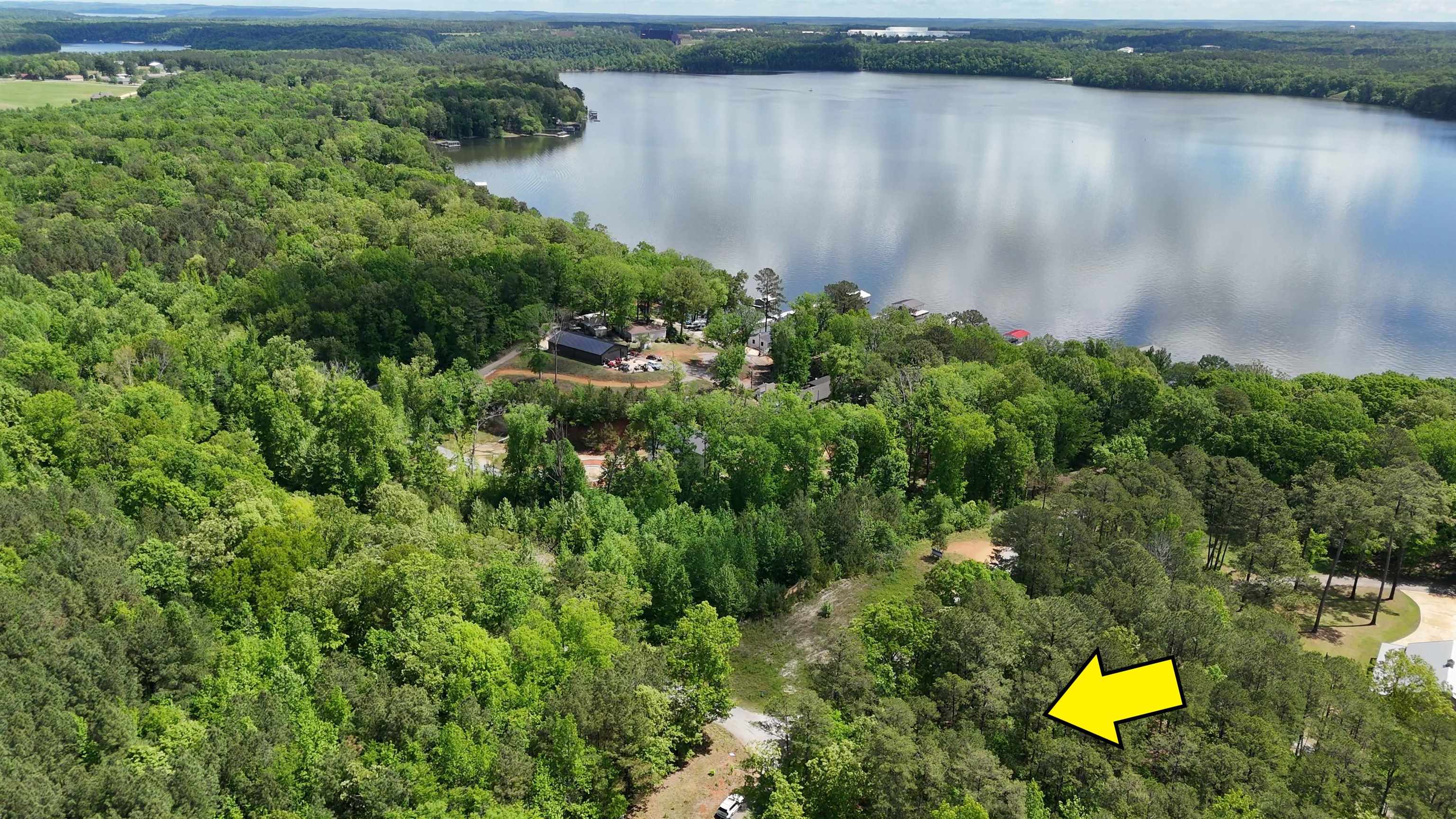 a view of a lake with a yard and large trees