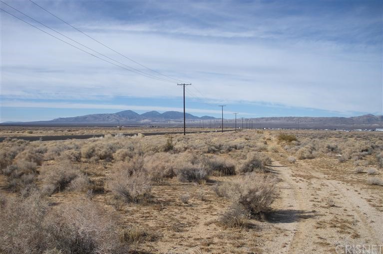 a view of a field