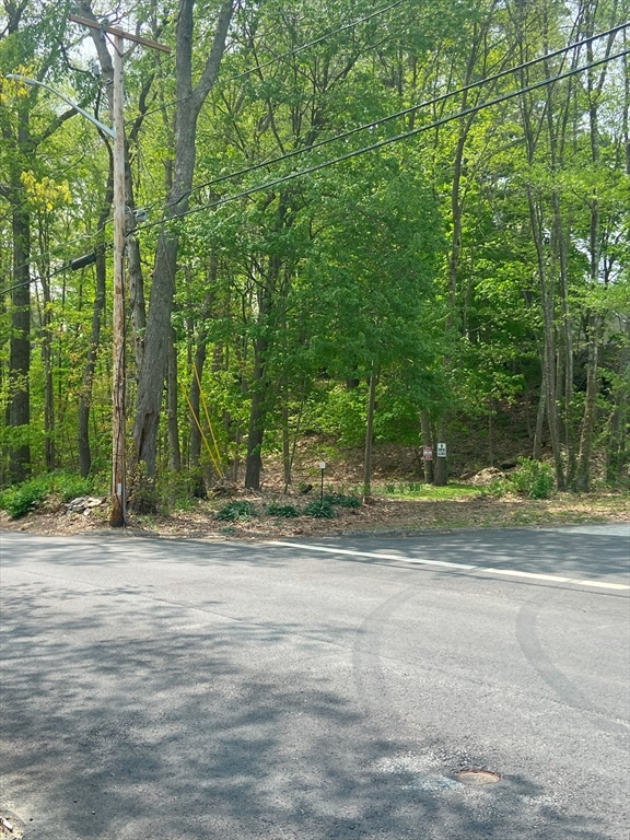 a backyard of a house with large trees