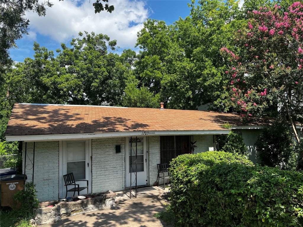 a view of a house with plants and large tree