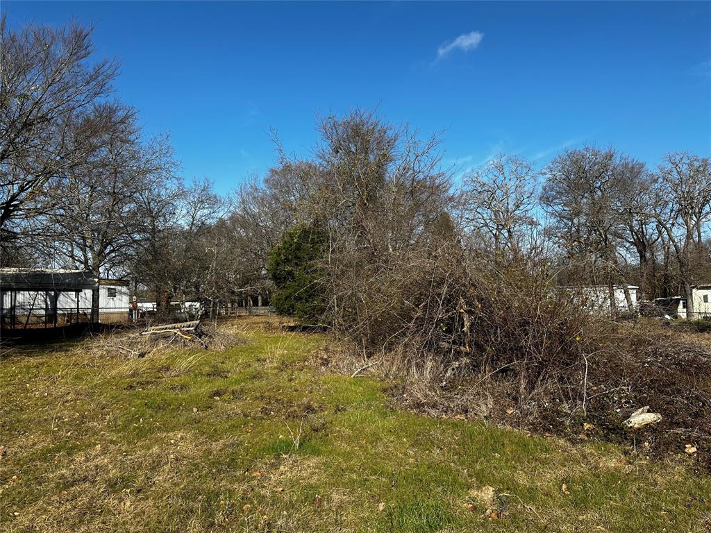 a view of a yard with a tree