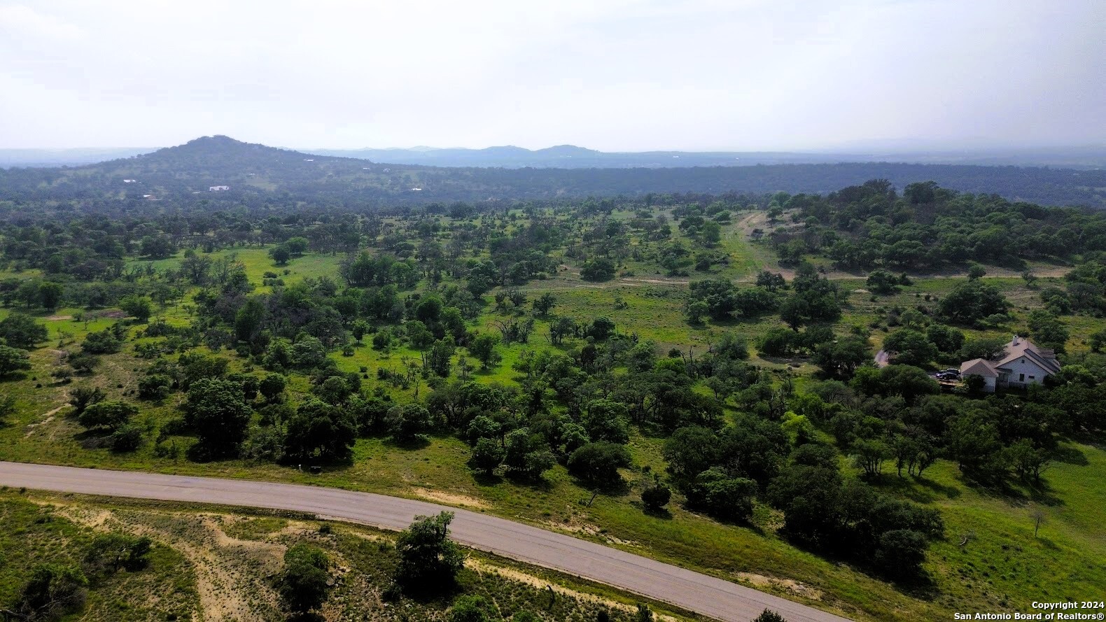 a view of a city with lush green forest