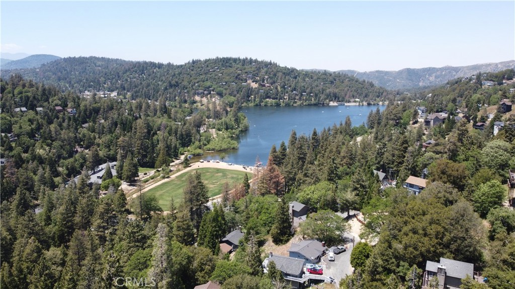 an aerial view of houses covered in trees