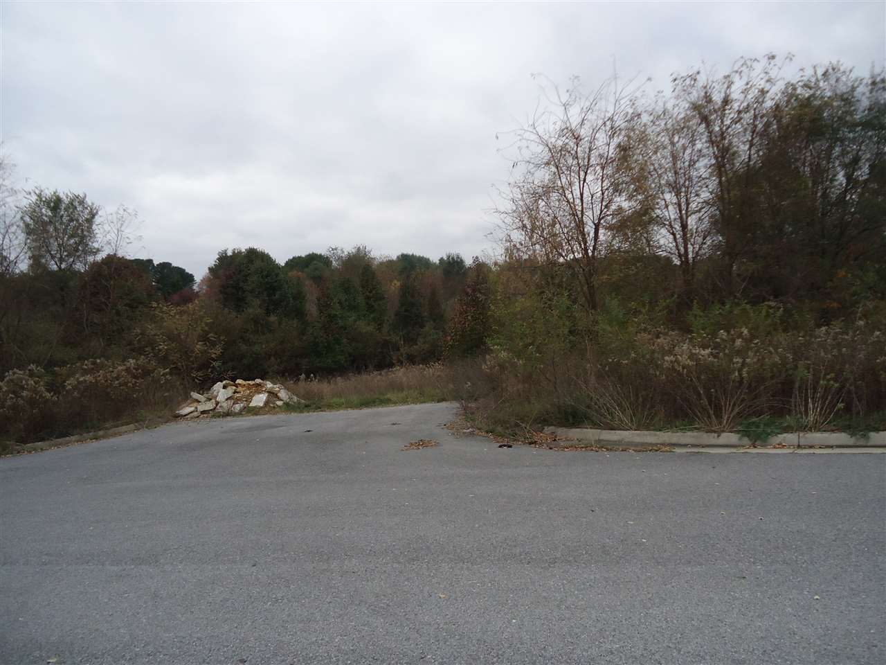 a view of road with trees