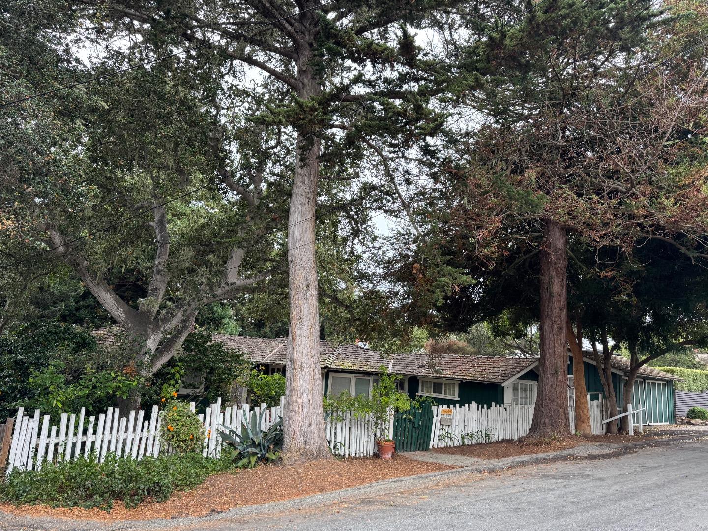 a view of a house with a tree in front