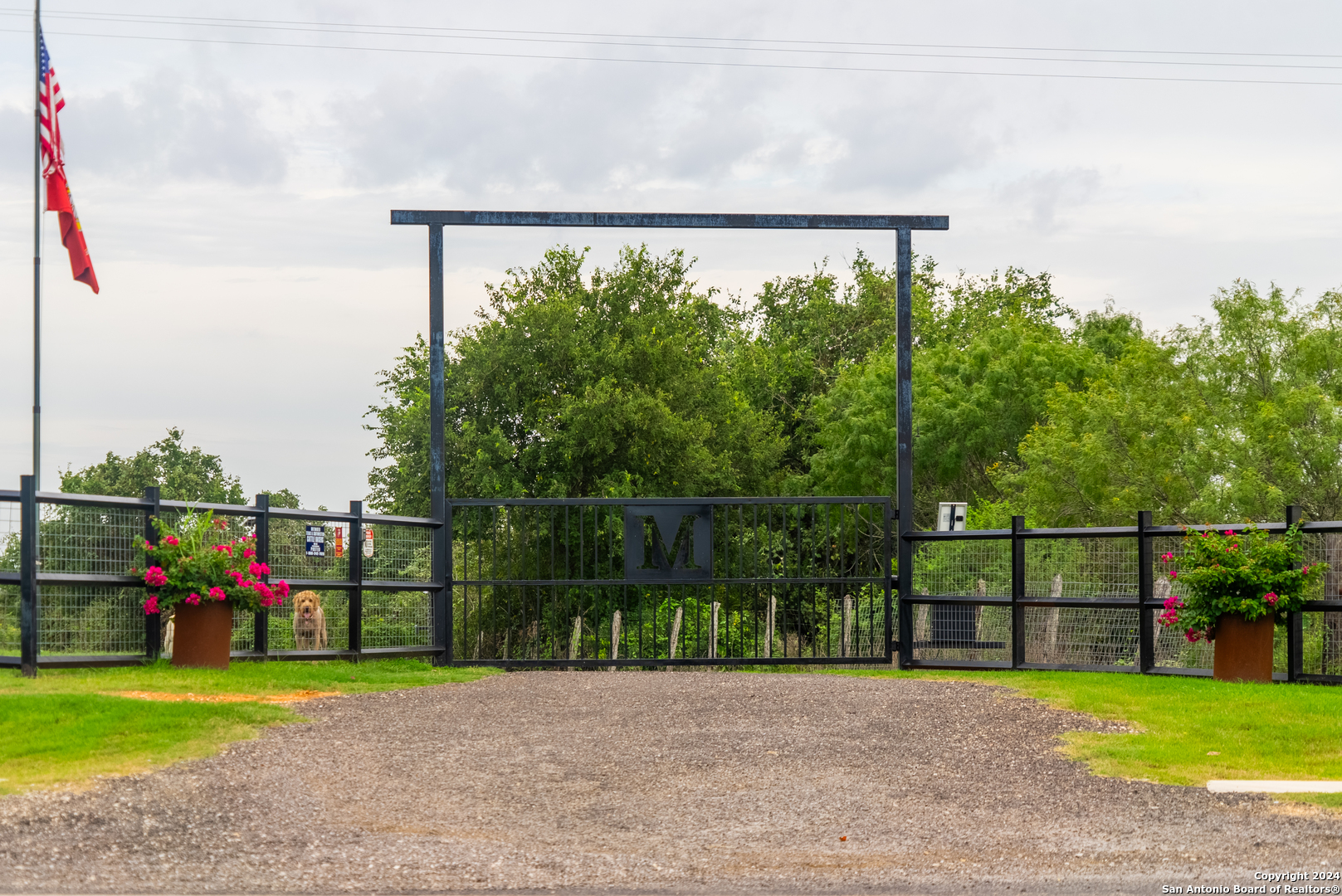 a view of a basketball court